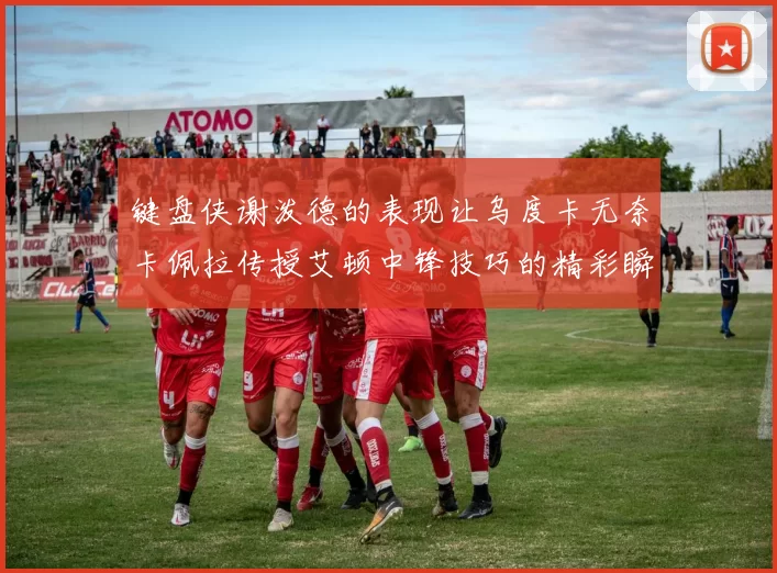 键盘侠谢泼德的表现让乌度卡无奈卡佩拉传授艾顿中锋技巧的精彩瞬间