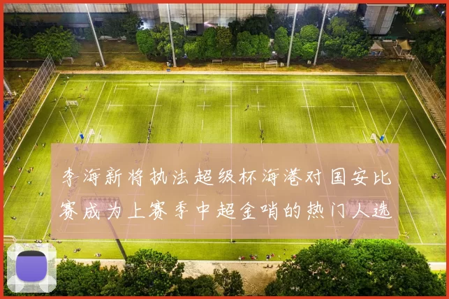 李海新将执法超级杯海港对国安比赛成为上赛季中超金哨的热门人选